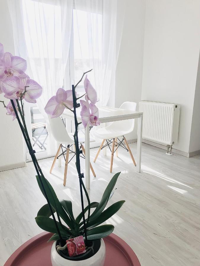 Belvarosi Studio Apartman Кечкемет Экстерьер фото